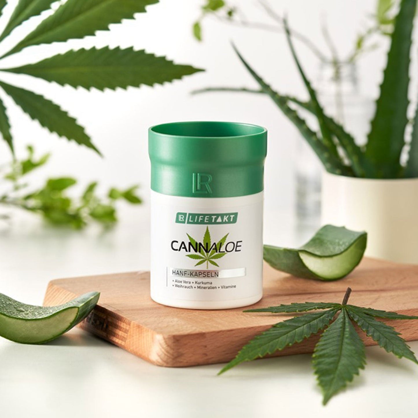 CANNALOE Kapseln von LR LIFETAKT