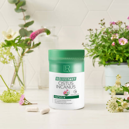 Cistus Incanus Kapseln